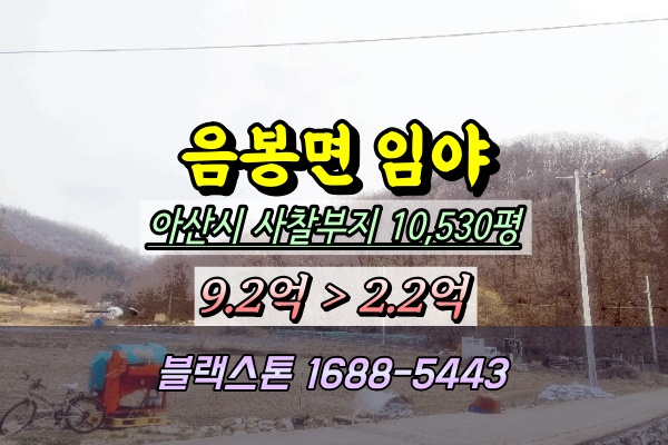  아산시 음봉면 임야 경매 1만평 2025타경11438