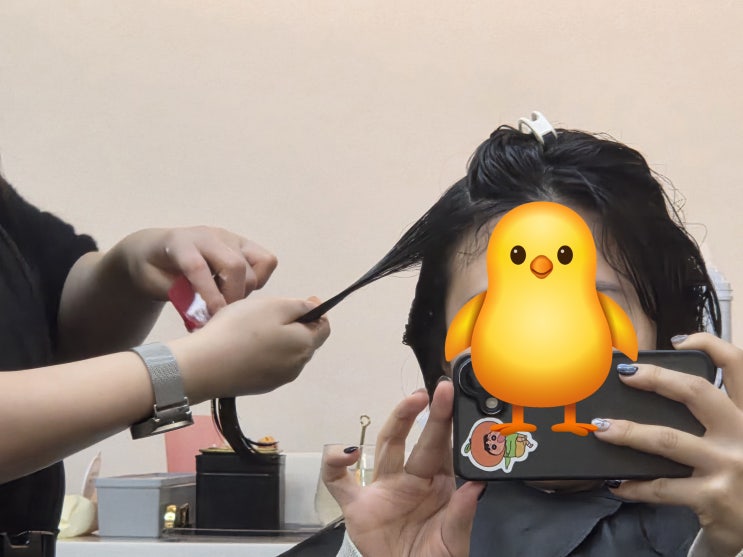  굴포천역 미용실 '살롱드바움 부평점' 카나토 클리닉 솔직후기