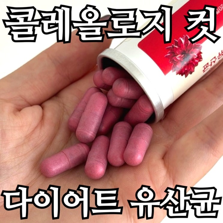 콜레올로지 컷 다이어트 유산균 내돈내산｜성분·기능·섭취법까지 정리