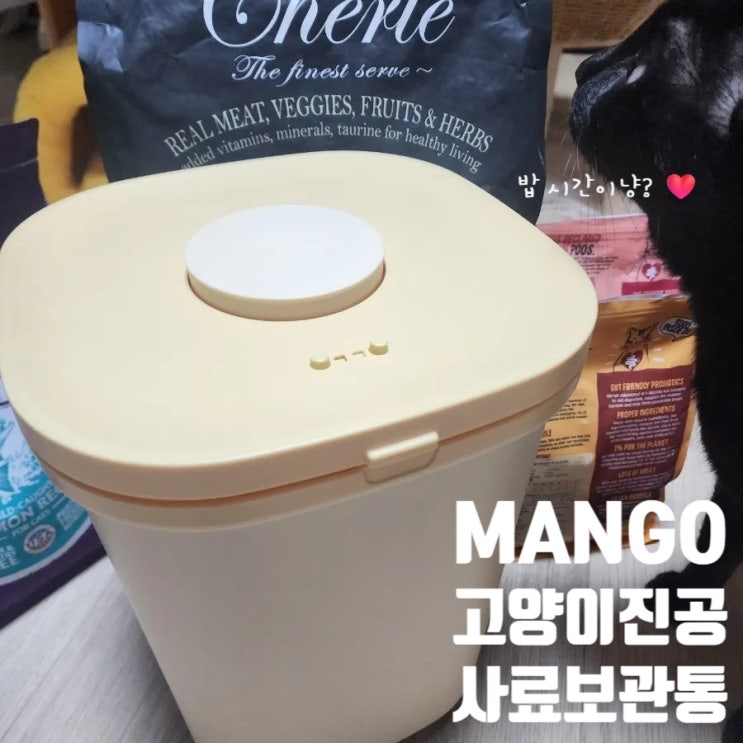  고양이 사료 보관통 콩두부네 사용후기, MANGO