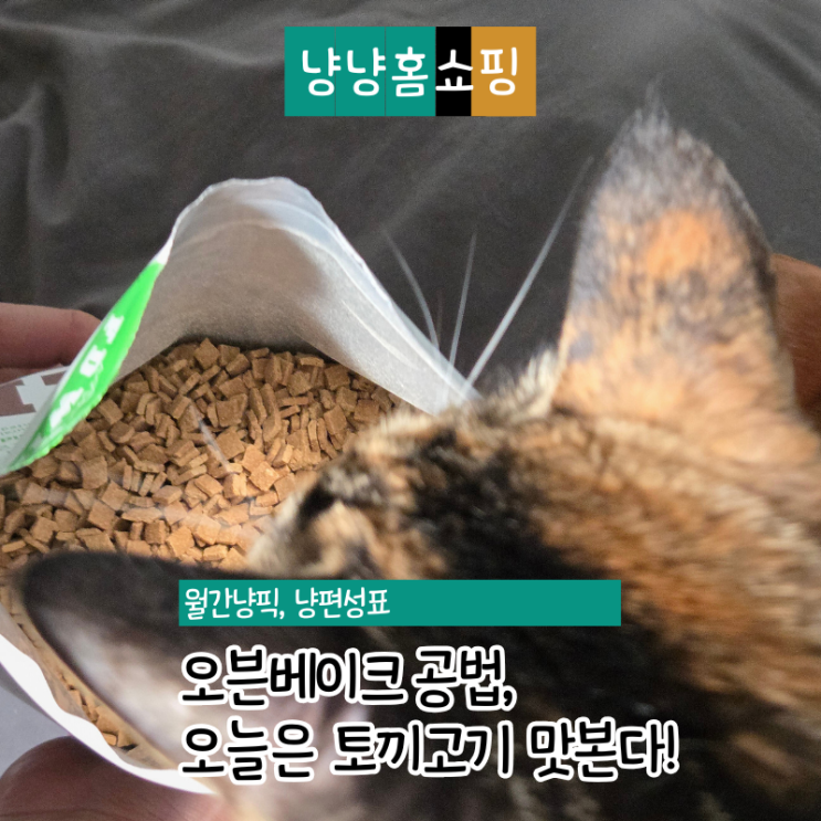  고양이 토끼 사료 처음 먹여봤어요, 에프디와일드 오븐베이크 후기