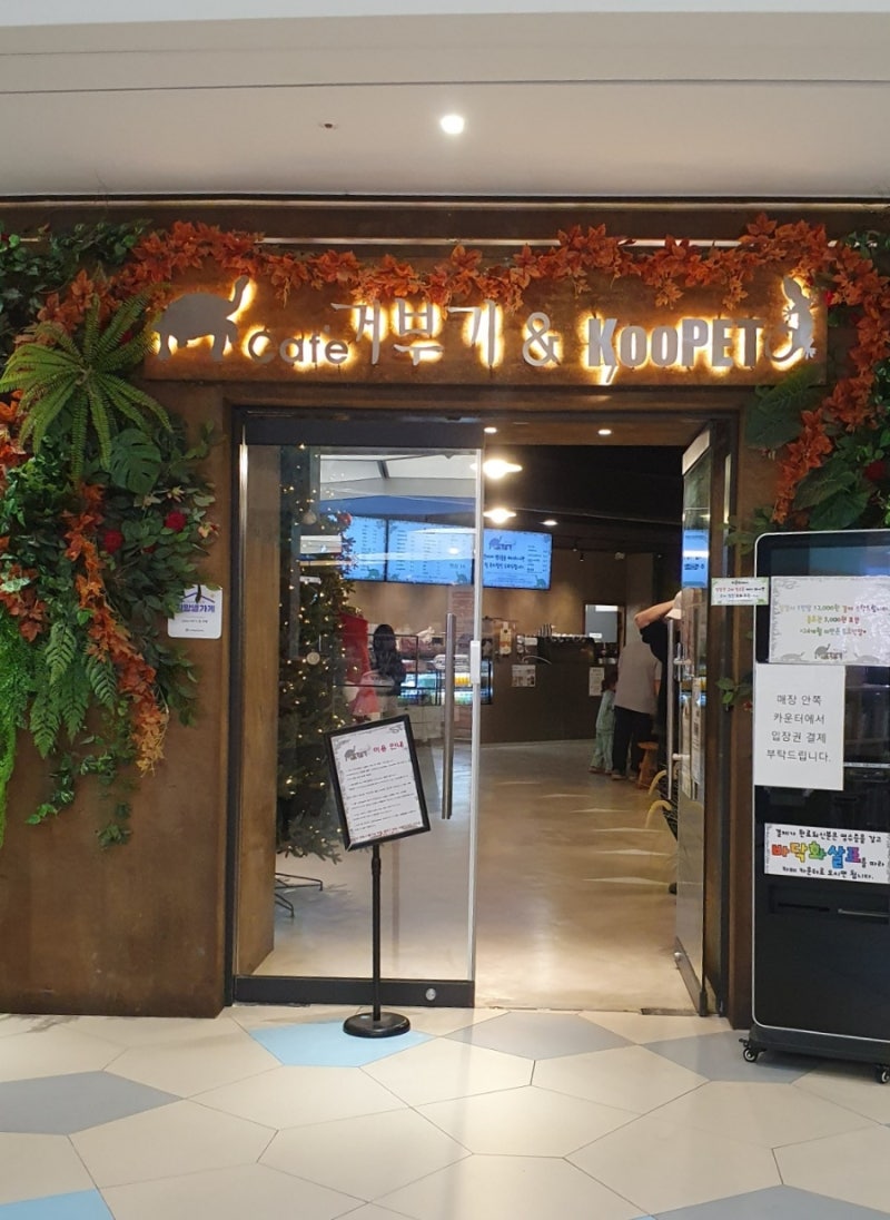 사진 6