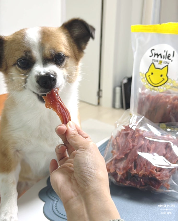  멍냥빌리지 오리안심 강아지대용량간식 단백질 1kg