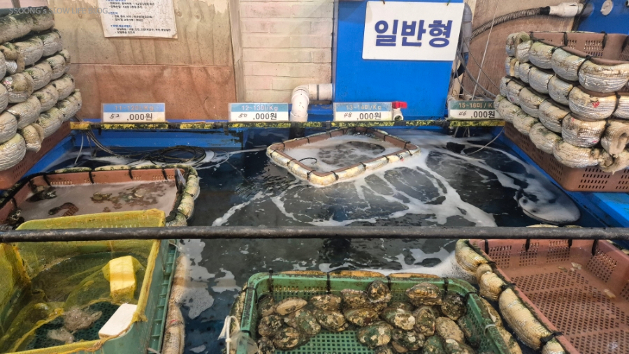 해품달 사진 6