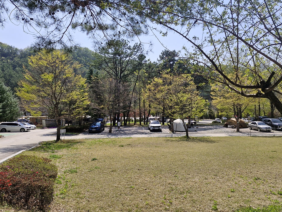 비둘기낭캠핑장 B구역 사진 5