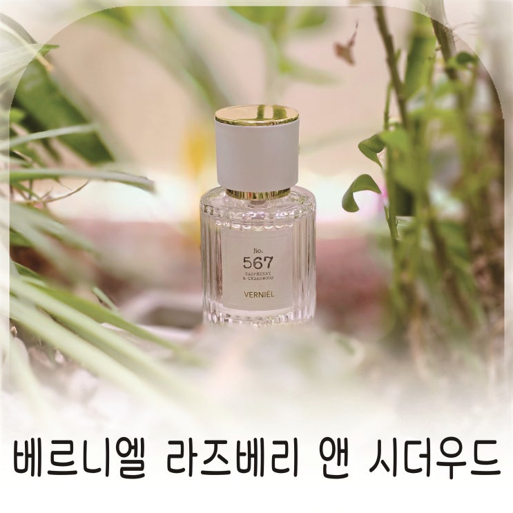  베르니엘 라즈베리 앤 시더우드 우디향수로 완성한 차분한 홍차향수