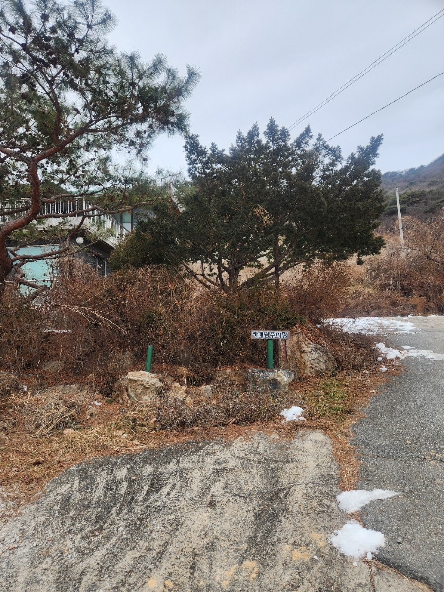 카페쉼 사진 2