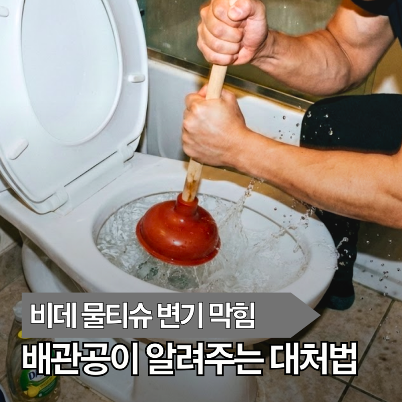 변기에 버려도 된대서.. 비데 물티슈 변기 막힘 해결법