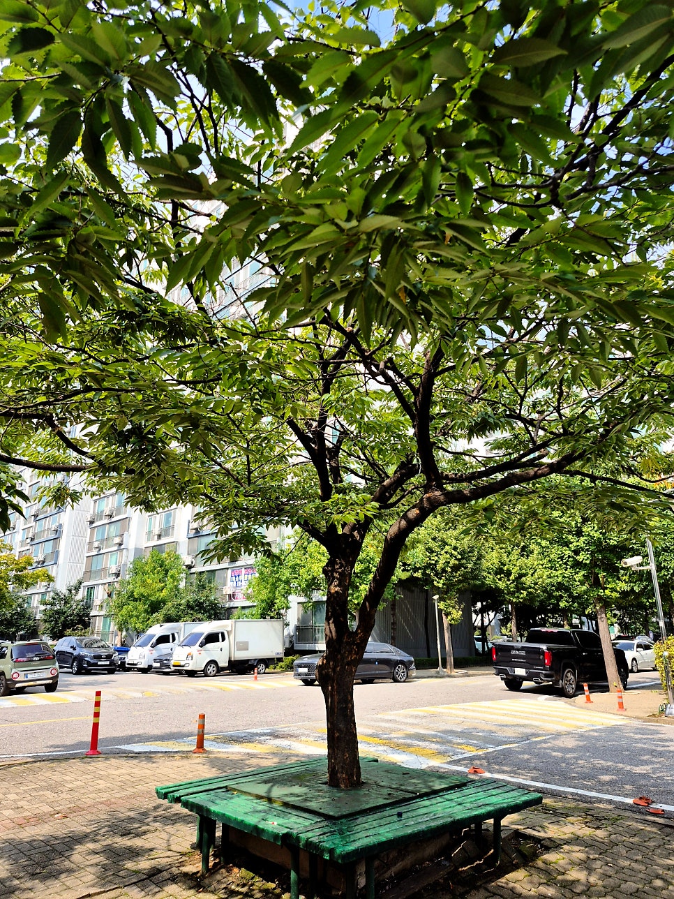 대흥각 사진 3