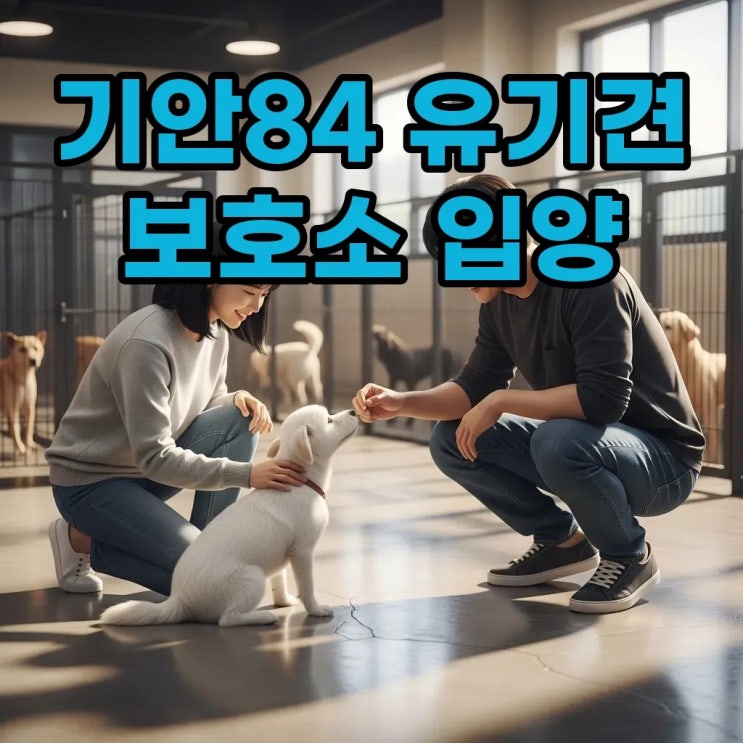  기안84 유기견보호소 어디? 따뜻한 입양과 봉사활동 이야기