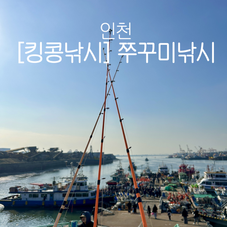  [킹콩낚시 인천] 인천 쭈꾸미낚시 배낚시 추천