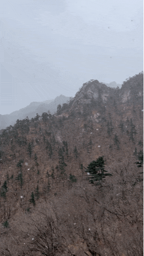  속초여행 필수코스 설악산 케이블카 가격, 버스 타고 가는법, 케이블카 뷰, 무료찻집 정보까지