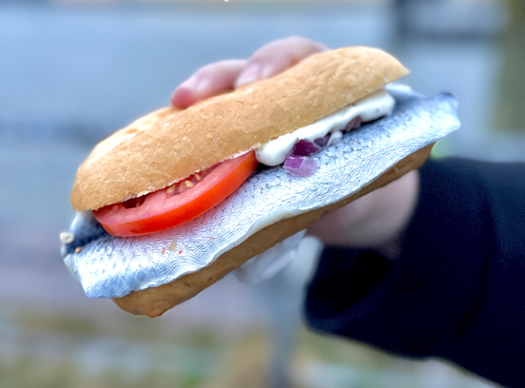  [독일 기차여행]  겨울 함부르크 일요일 수산시장에서 생선빵 먹기 | Hamburger Fischmarkt