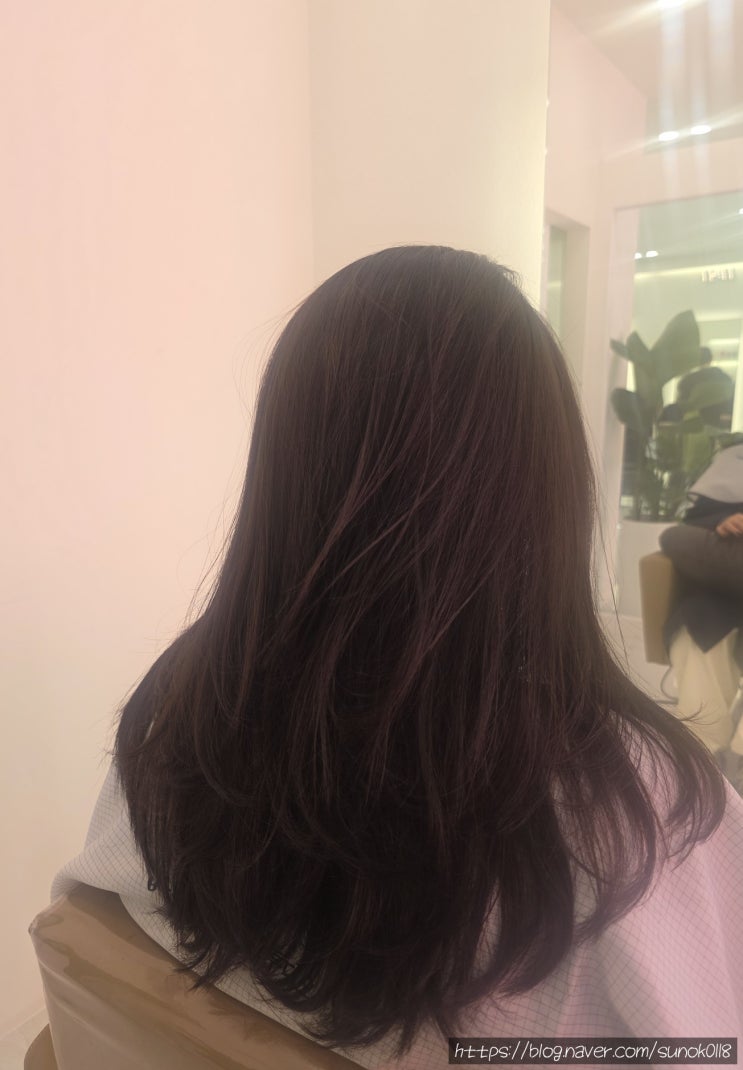  다율동 미용실 박승철헤어스투디오 운정해오름점 톤다운 염색