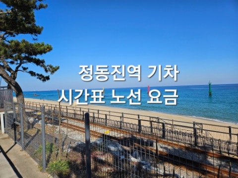 정동진역 기차 시간표 노선 요금