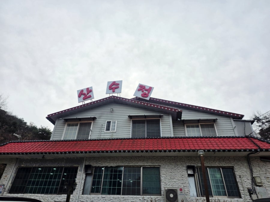 산수정 사진 1