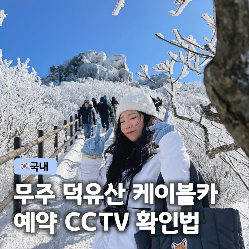 무주 덕유산 케이블카 곤돌라 향적봉 예약 가격 주차 CCTV 확인방법