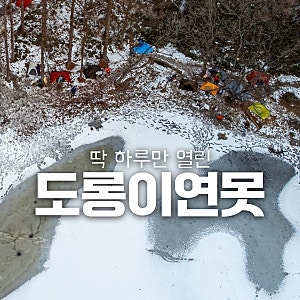 170명의 백패커가 영하의 날씨에도 도롱이연못을 택한 이유 (운탄고도 정선 백패킹)