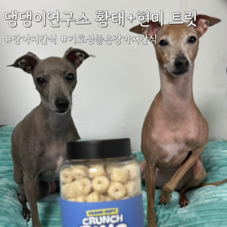  강아지간식 찾다가 정착한 애견간식 [댕댕이연구소 황태+현미 트릿]
