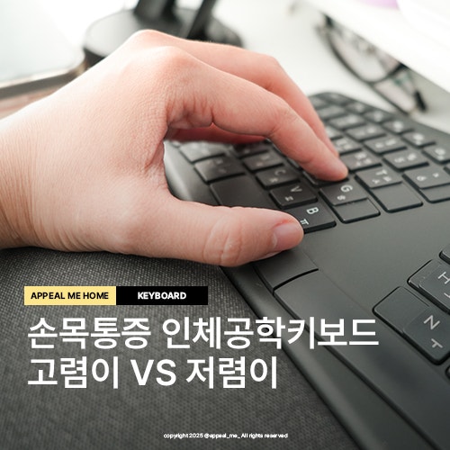 인체공학키보드 비교 로지텍K860 VS 플레오멕스 N6000 고렴이 저렴이