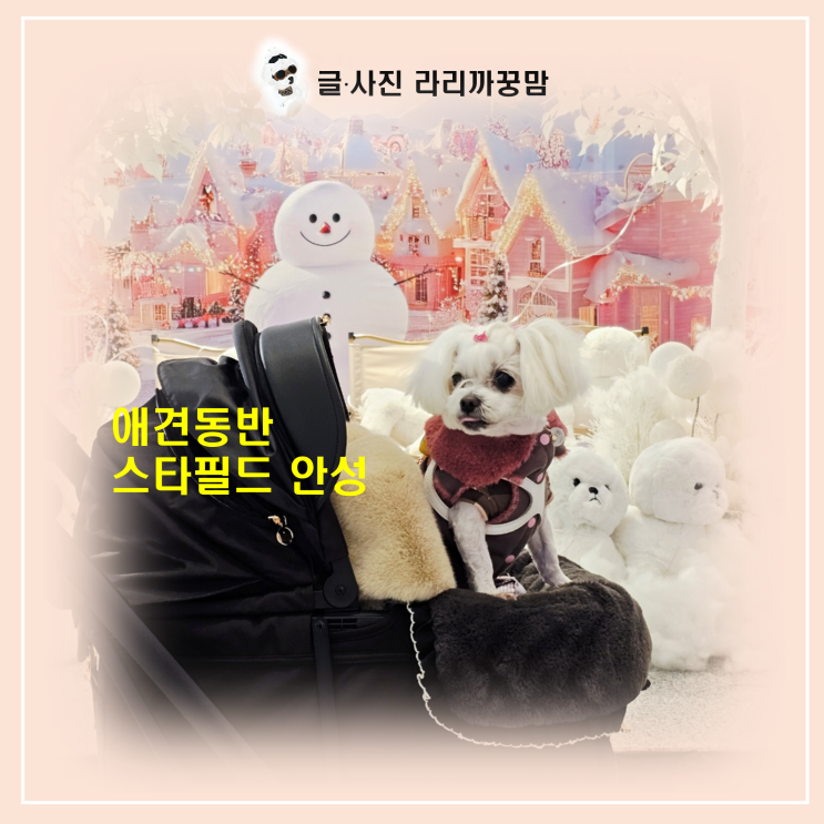  추운 날은 실내에서 노는게 최고지! 애견동반 가능한 스타필드 안성