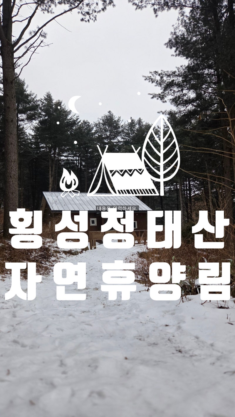 연말 눈 여행의 꿈이 이루어진 곳, 청태산 자연휴양림 숲속의 집 전나무 숙박 후기