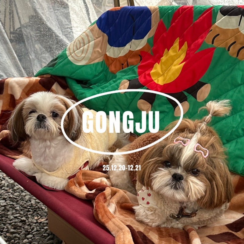 사진 3