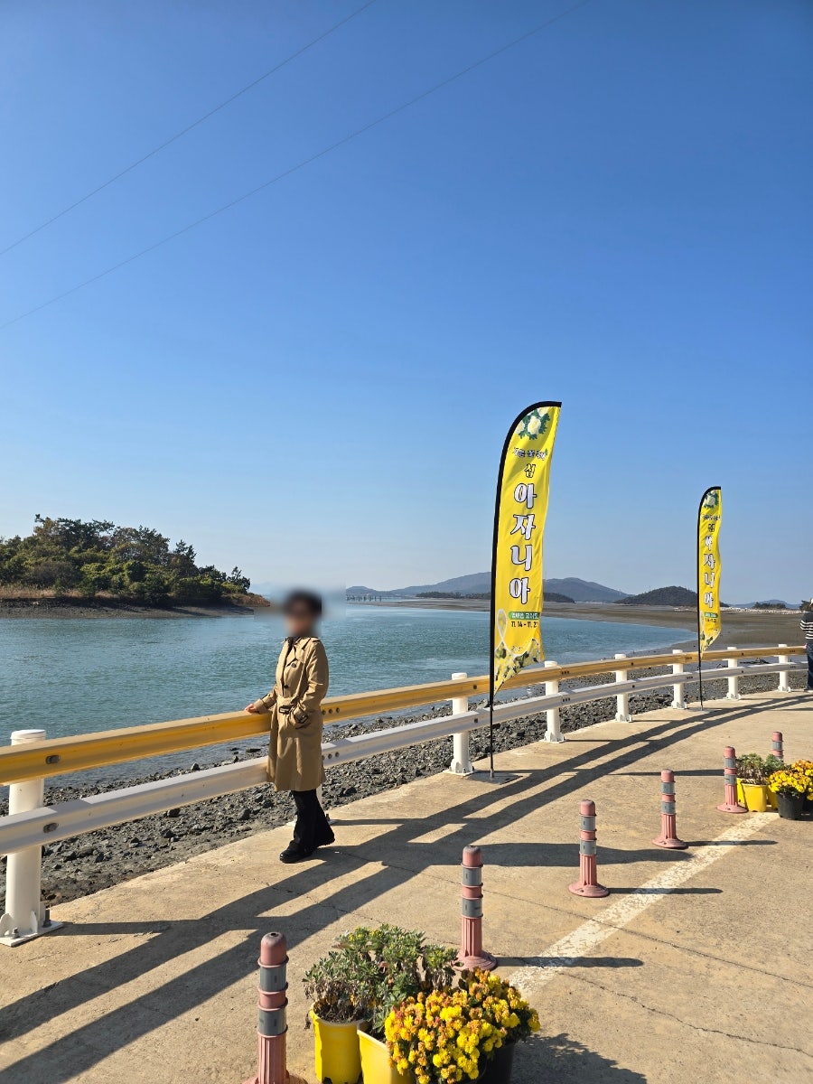 고이도 사진 4