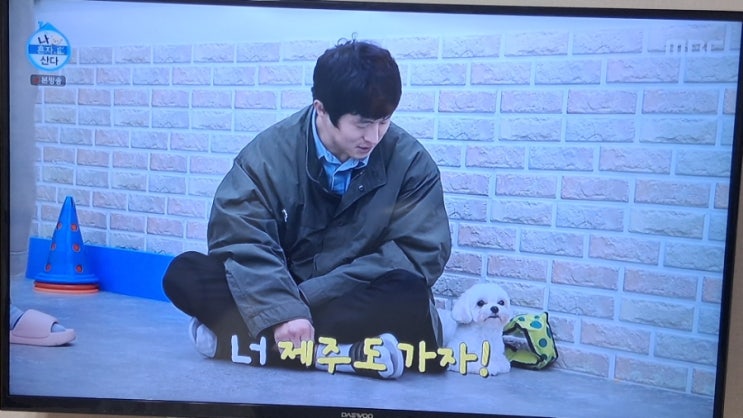  기안84