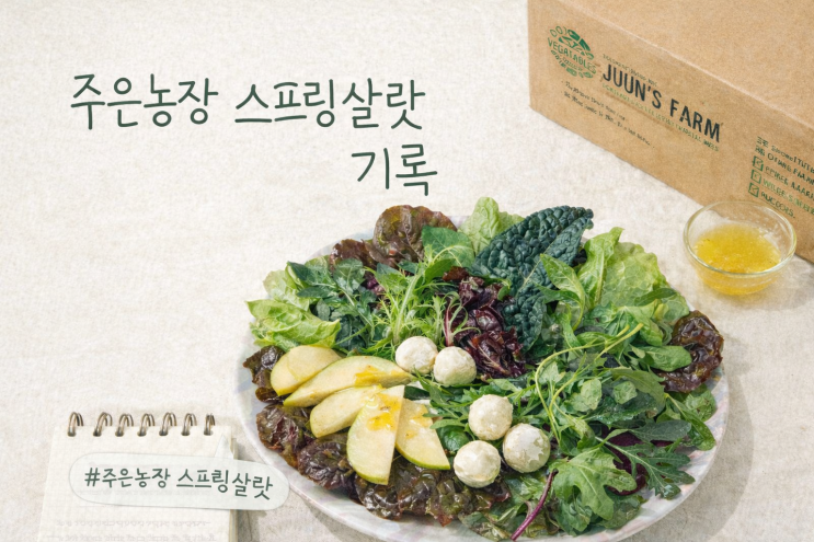  주은농장 스프링살랏 구성 정리｜매일 챙겨먹는 아침 샐러드 내돈내산 후기