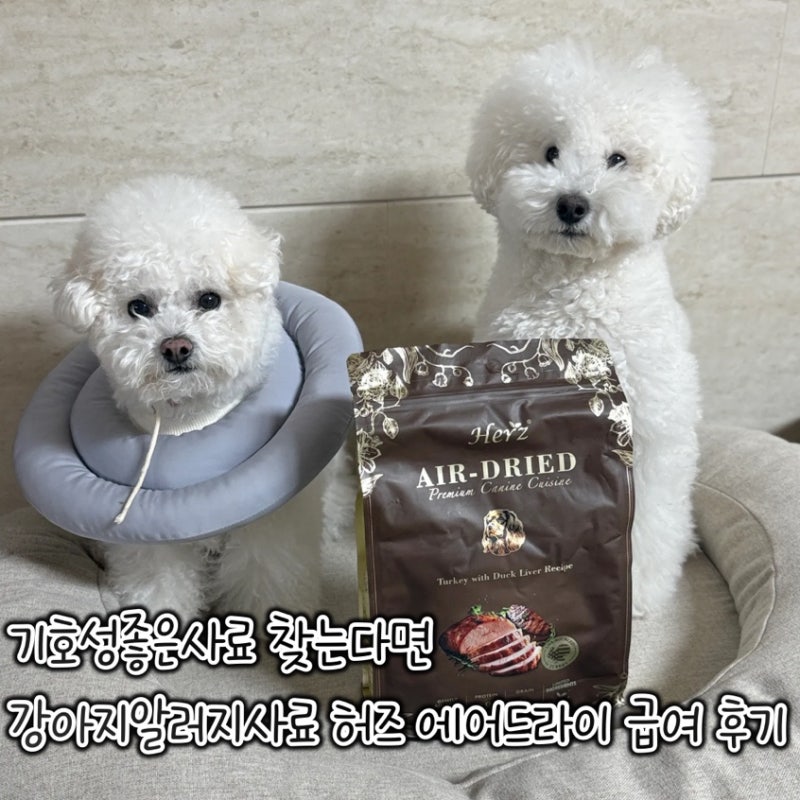 기호성좋은사료 찾는다면 강아지알러지사료 허즈 에어드라이 급여 후기