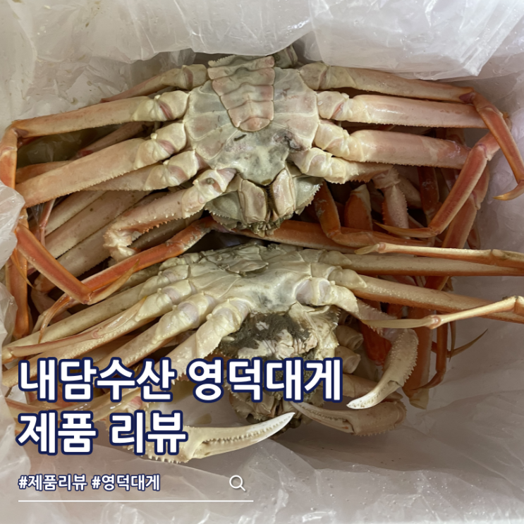  내담수산 자숙 영덕대게 가격 후기