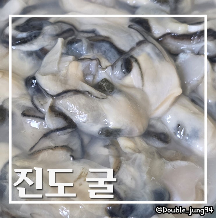  전남 진도 겨울 바다 진한 풍미와 영양 가득 진도 굴