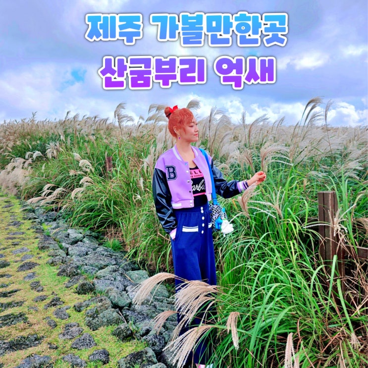  제주 산굼부리 억새 가볼만한곳 입장료 소요시간 총정리