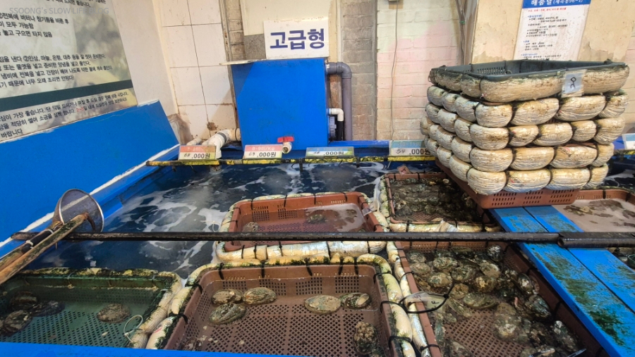 해품달 사진 5