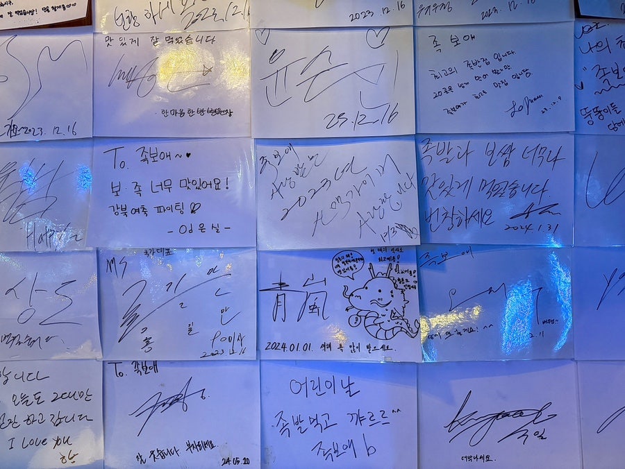족보애 사진 4