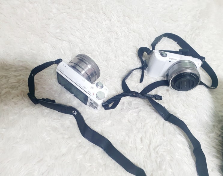  입문용 소니 알파 NEX5T, A5100 미러리스 카메라 사진화질