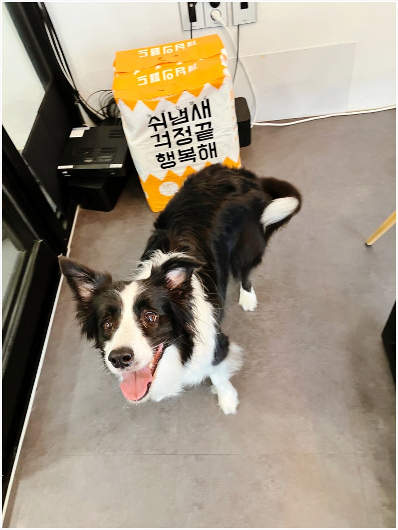 사진 4