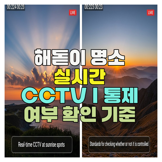  해돋이 명소 실시간 CCTV｜통제 여부 확인 기준