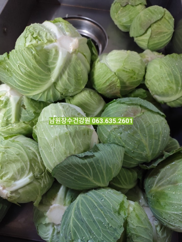  비린 맛 없는 양배추즙 추천, 국내산 양배추로 진하게 담았어요