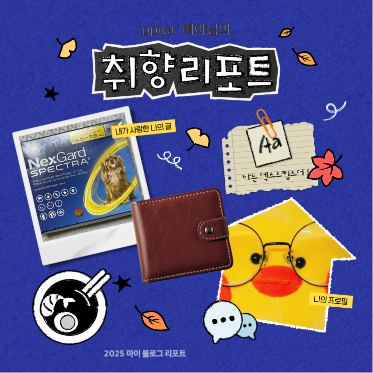  [2025 마이 블로그 리포트] 데이터로 채워보는 내 블로그 취향 리포트