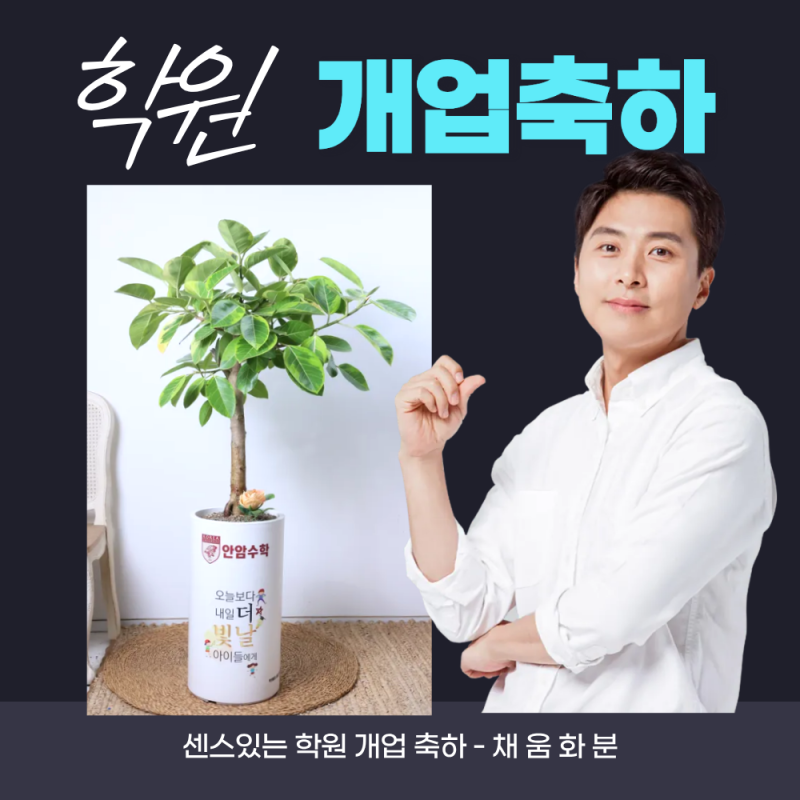 2026 새학기 학원 개업선물 추천 키우기 쉬운 화분으로