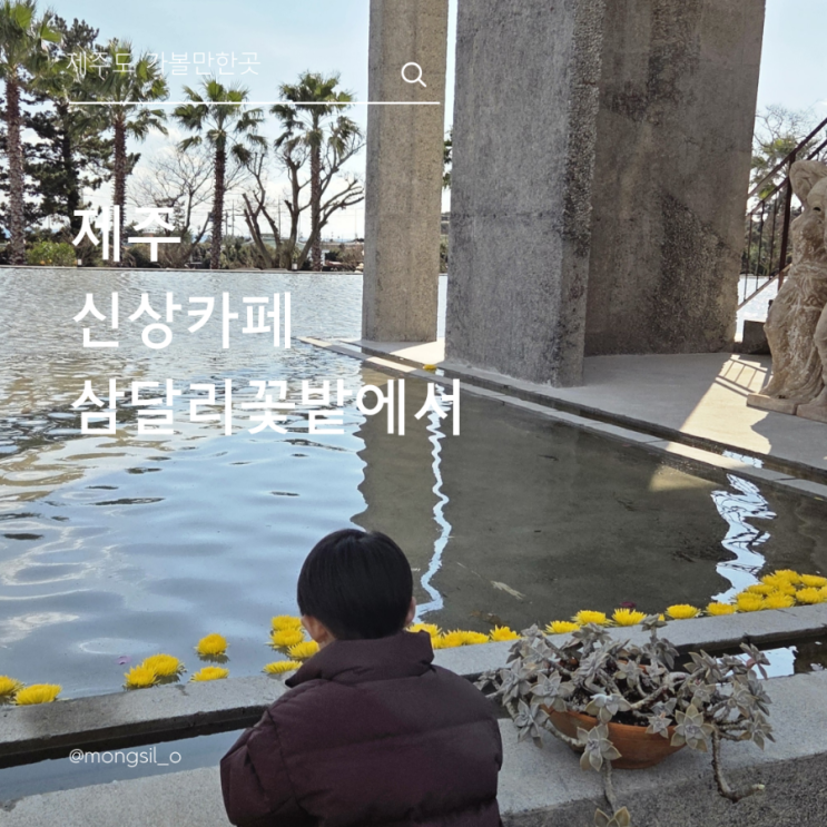  삼달리꽃밭에서 제주동쪽여행코스 신상카페 무료입장^^