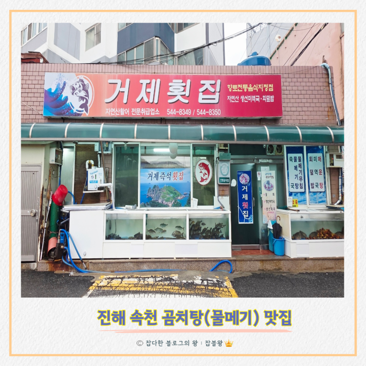  창원 진해 속천 곰치탕 물메기탕 맛집 : 거제횟집 후기