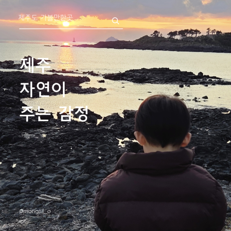  사람보다 자연이 편해진 이유, 제주살이 외로움