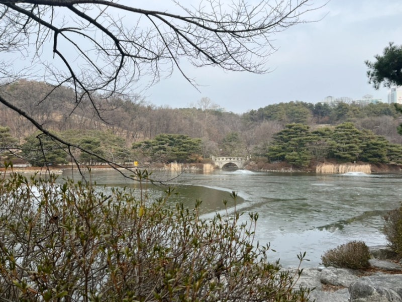 사진 5