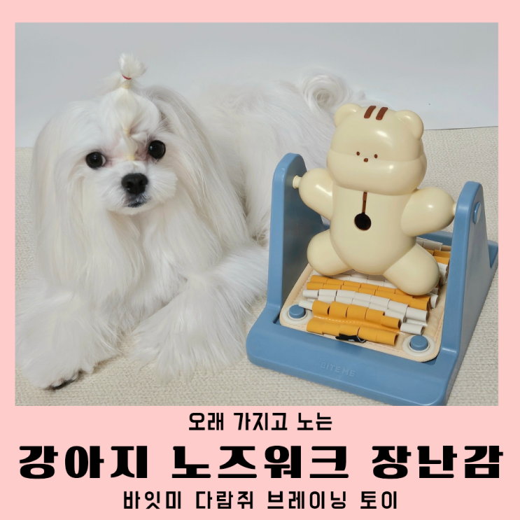 강아지 노즈워크 장난감 오래노는 바잇미 브레이닝 토이