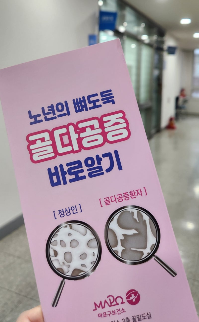 마포보건소 골밀도검사 예약방법 검사비용