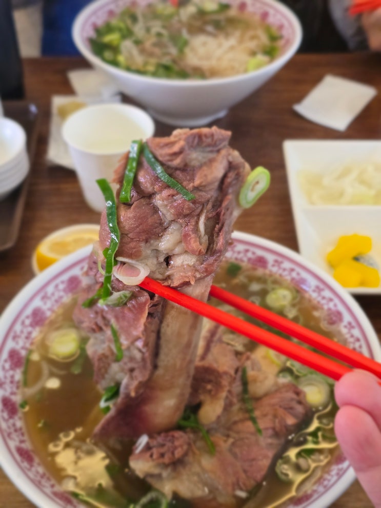  영등포 문래동 쌀국수 맛집 마스터비엣 본점, 현지 그대로의 하노이 풍미