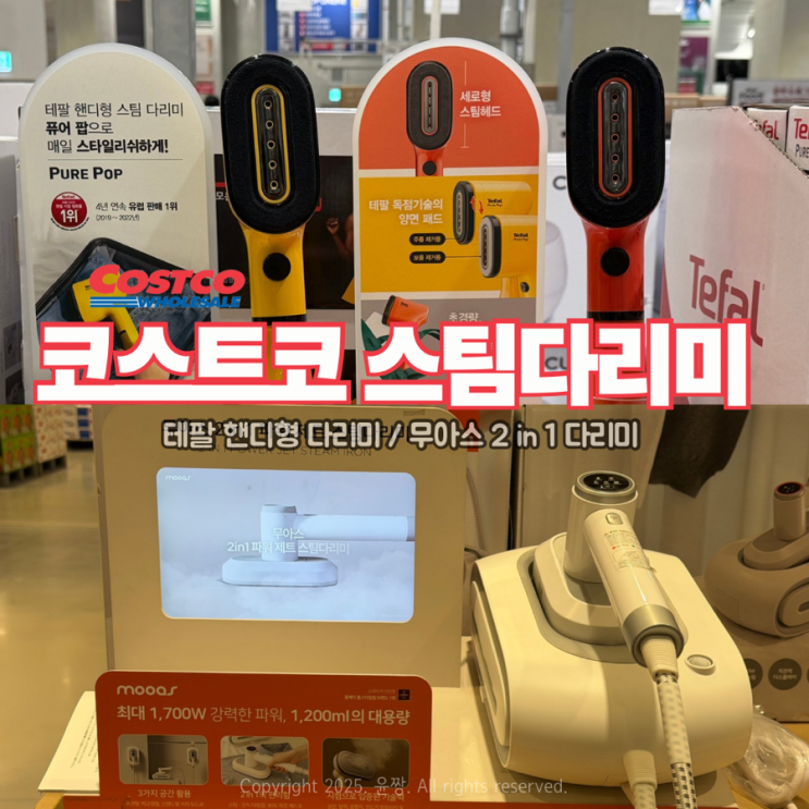  코스트코 스팀다리미 추천 테팔 무아스 핸디형 스탠드형 다리미 가격 비교